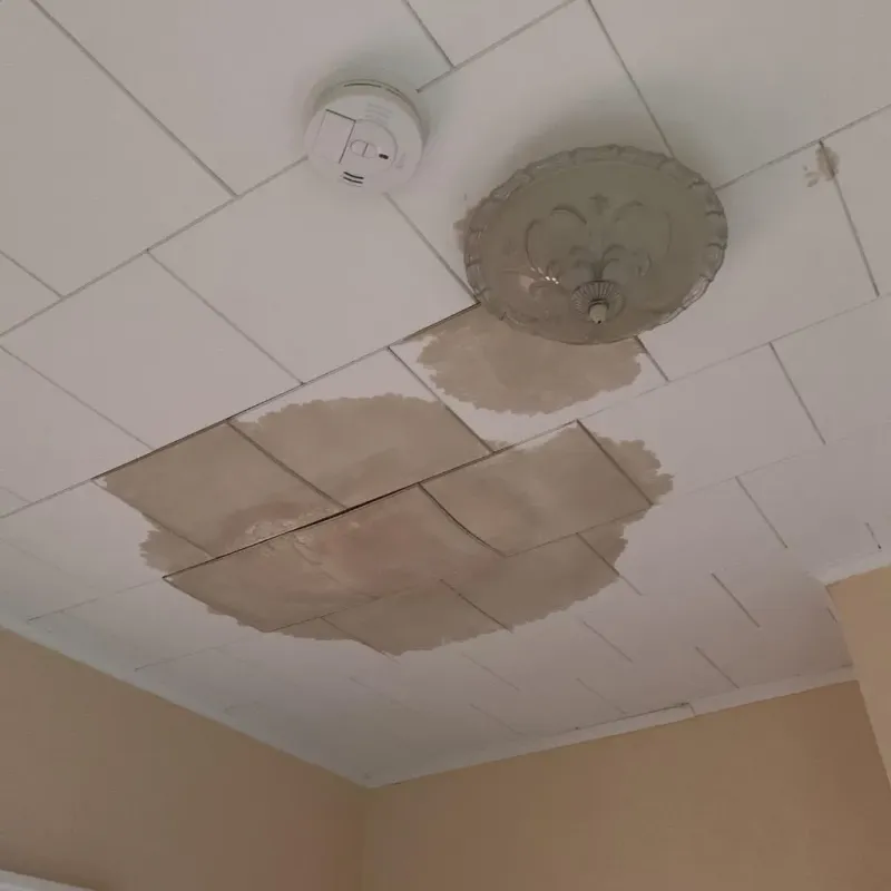 Ceiling Water Damage Repair in Prairie Village, KS