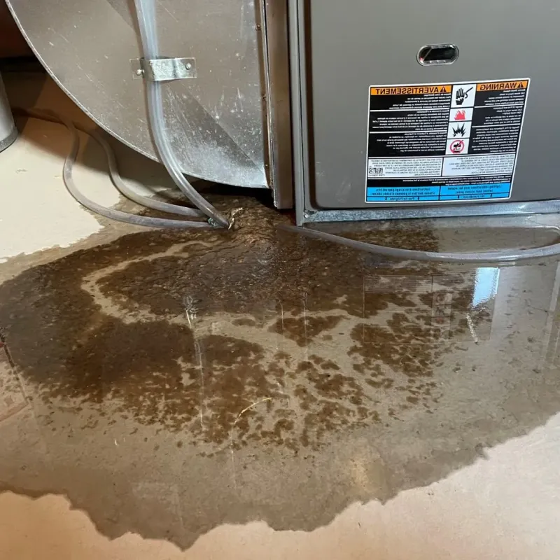 Pipe Burst and Leak Restoration in Prairie Village, KS