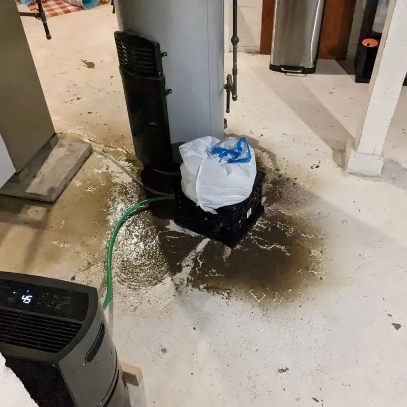 Sewage Backup Cleanup Service in Prairie Village, KS